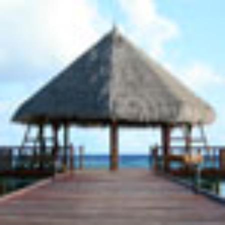 Five Guys Burgers and Fries